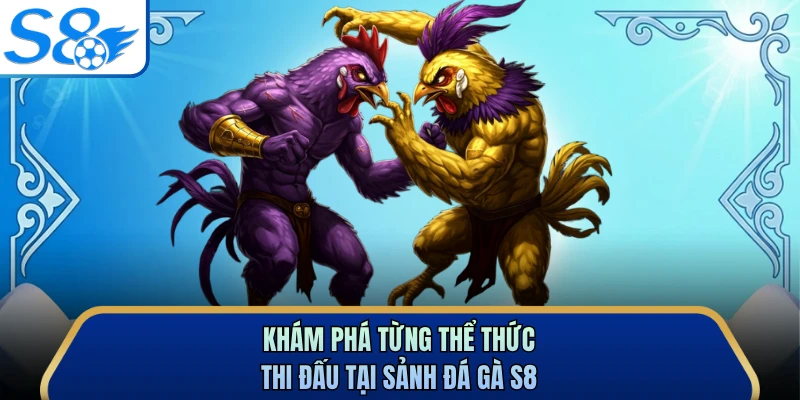 Khám phá từng thể thức thi đấu tại sảnh đá gà S8