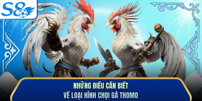 Những điều cần biết về loại hình chọi gà Thomo